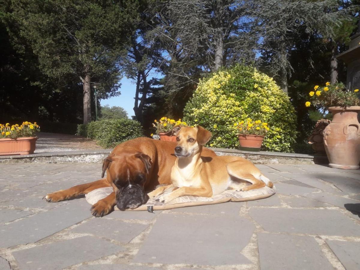 Casal Ponziani Per Civita E Dintorni Villa Bagnoregio Eksteriør bilde